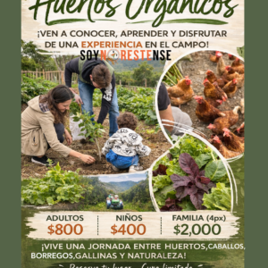 Recorrido a Huertos Orgánicos